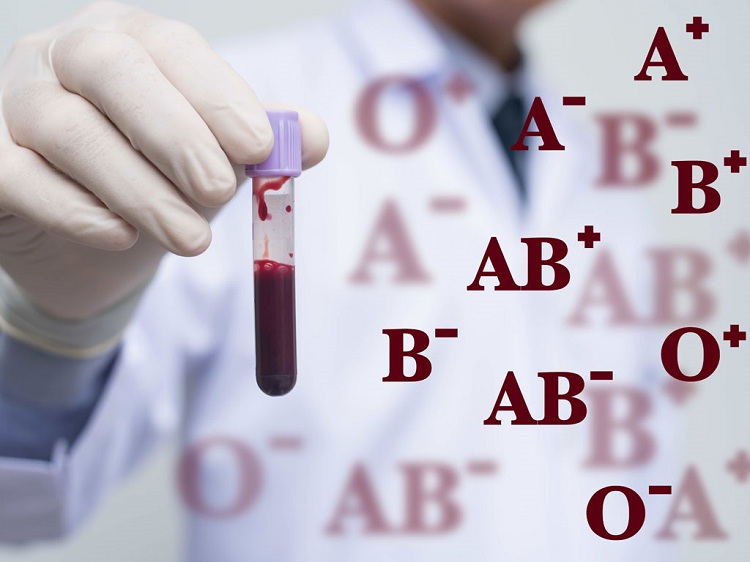 Hình 1: Các loại nhóm máu phổ biến ở người.